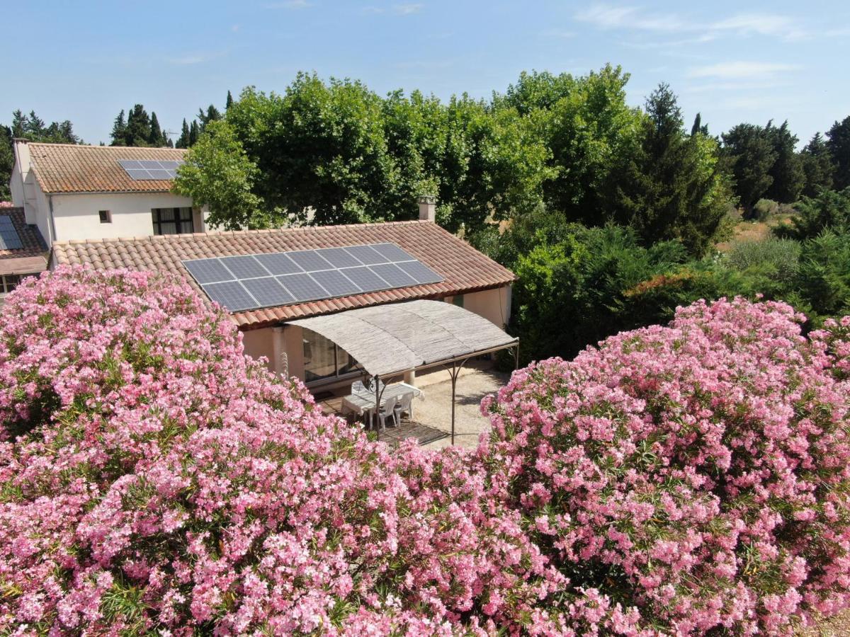 Les Gites Du Mas Canillac Chateaurenard Bagian luar foto